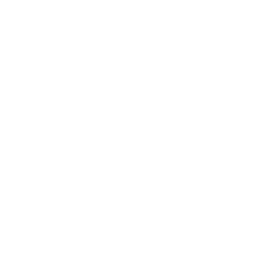 Security incl. SSL Certificat